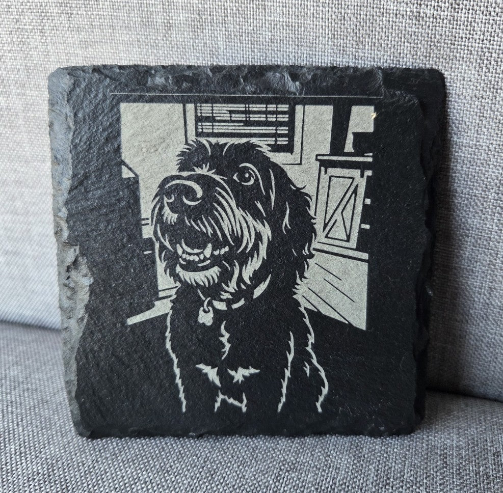 Custom Pet Coasters